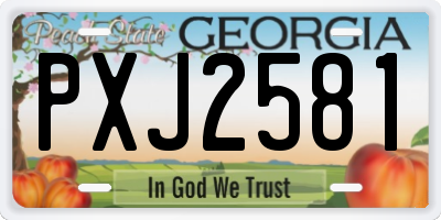 GA license plate PXJ2581