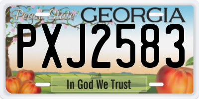 GA license plate PXJ2583