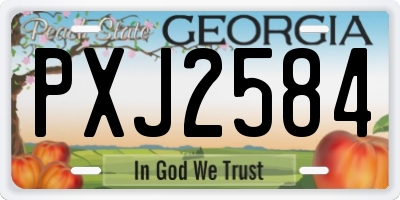 GA license plate PXJ2584