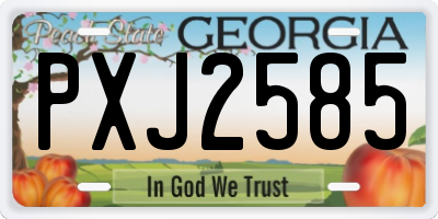 GA license plate PXJ2585
