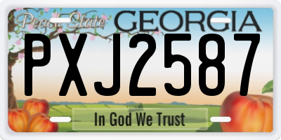 GA license plate PXJ2587