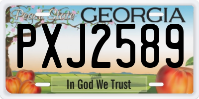 GA license plate PXJ2589