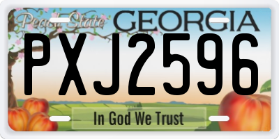 GA license plate PXJ2596