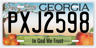 GA license plate PXJ2598
