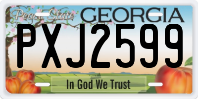 GA license plate PXJ2599