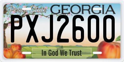 GA license plate PXJ2600