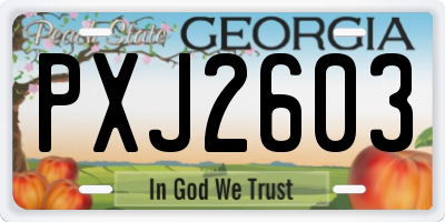 GA license plate PXJ2603