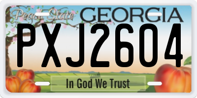 GA license plate PXJ2604