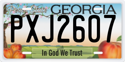 GA license plate PXJ2607