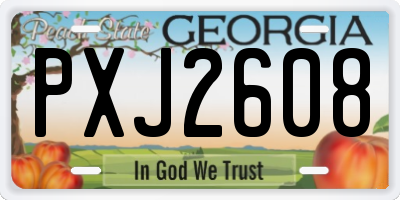 GA license plate PXJ2608