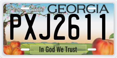 GA license plate PXJ2611