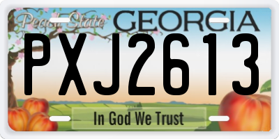 GA license plate PXJ2613