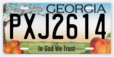 GA license plate PXJ2614