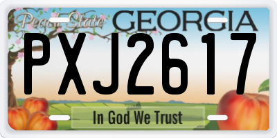 GA license plate PXJ2617