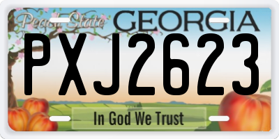 GA license plate PXJ2623