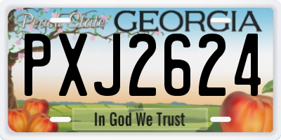 GA license plate PXJ2624