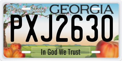GA license plate PXJ2630