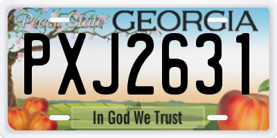 GA license plate PXJ2631