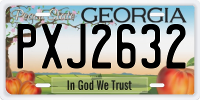 GA license plate PXJ2632