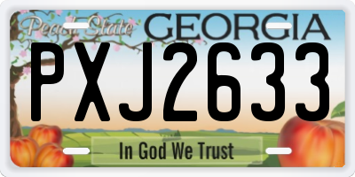 GA license plate PXJ2633