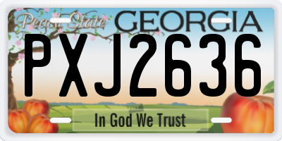 GA license plate PXJ2636