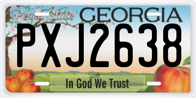 GA license plate PXJ2638