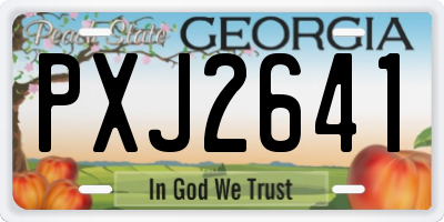 GA license plate PXJ2641