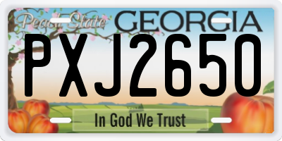 GA license plate PXJ2650