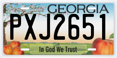 GA license plate PXJ2651