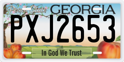 GA license plate PXJ2653