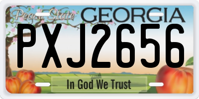 GA license plate PXJ2656