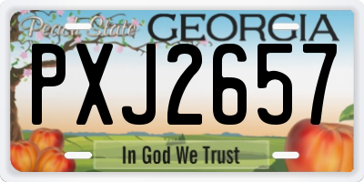 GA license plate PXJ2657