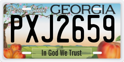 GA license plate PXJ2659