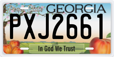 GA license plate PXJ2661