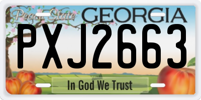 GA license plate PXJ2663