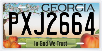 GA license plate PXJ2664