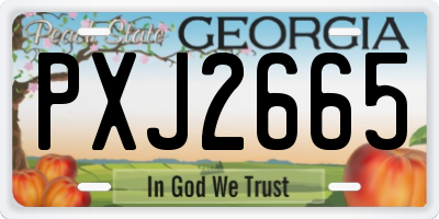 GA license plate PXJ2665