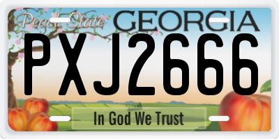 GA license plate PXJ2666