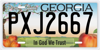GA license plate PXJ2667
