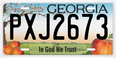GA license plate PXJ2673