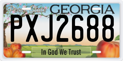 GA license plate PXJ2688