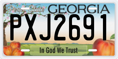 GA license plate PXJ2691