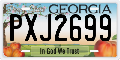 GA license plate PXJ2699