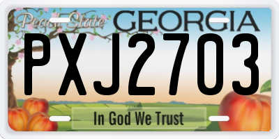 GA license plate PXJ2703