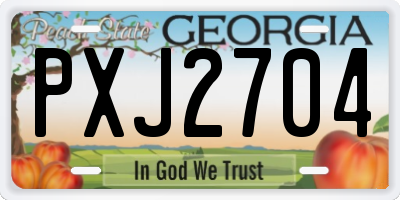 GA license plate PXJ2704