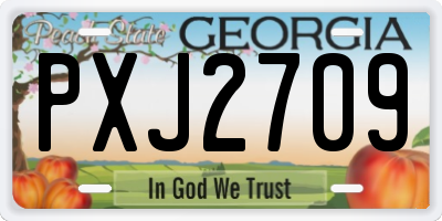 GA license plate PXJ2709