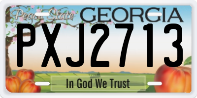GA license plate PXJ2713