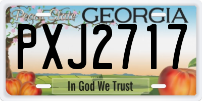 GA license plate PXJ2717