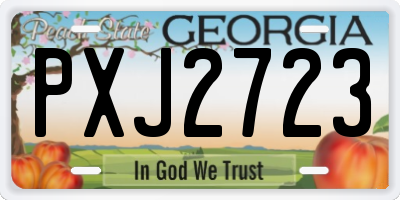 GA license plate PXJ2723