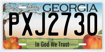 GA license plate PXJ2730